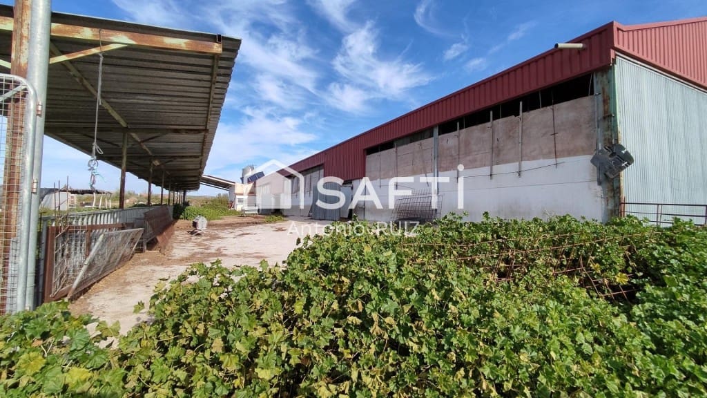 Terre non Aménagée à vendre à Ubeda - 285 000 € (Ref: 9595465)