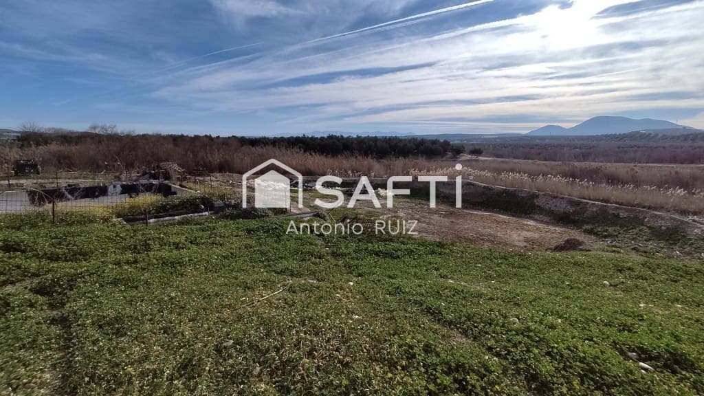 Terre non Aménagée à vendre à Ubeda - 285 000 € (Ref: 9595465)