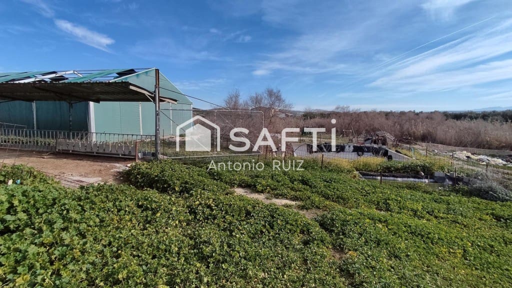 Terre non Aménagée à vendre à Ubeda - 285 000 € (Ref: 9595465)