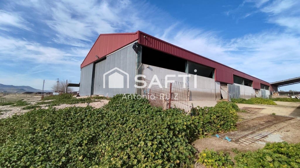 Terre non Aménagée à vendre à Ubeda - 285 000 € (Ref: 9595465)