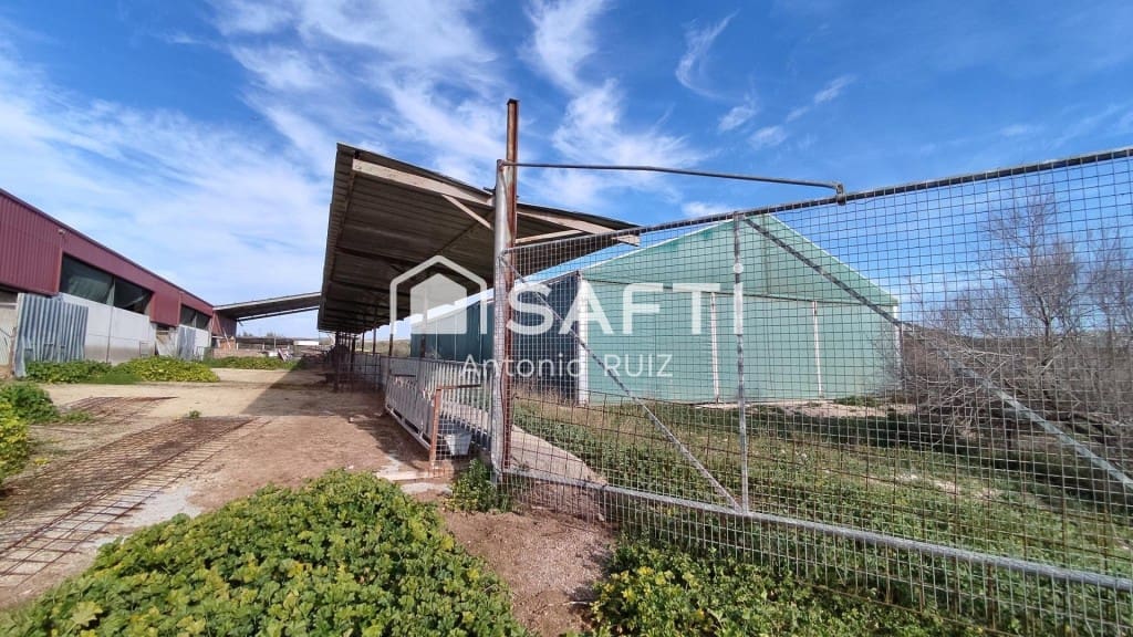 Terre non Aménagée à vendre à Ubeda - 285 000 € (Ref: 9595465)