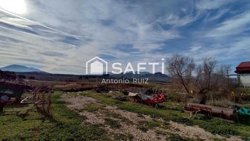 Terre non Aménagée à vendre à Ubeda - 285 000 € (Ref: 9595465)