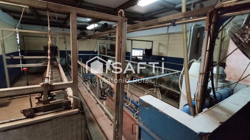 Terre non Aménagée à vendre à Ubeda - 285 000 € (Ref: 9595465)