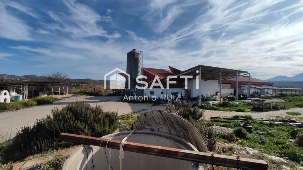 Terre non Aménagée à vendre à Ubeda - 285 000 € (Ref: 9595465)