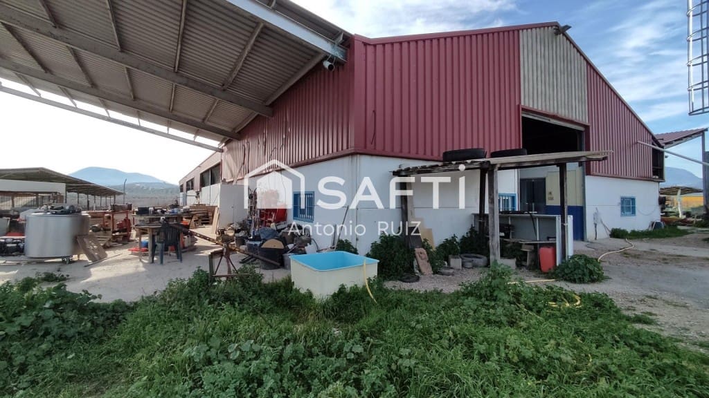 Terre non Aménagée à vendre à Ubeda - 285 000 € (Ref: 9595465)