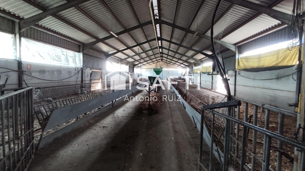 Terre non Aménagée à vendre à Ubeda - 285 000 € (Ref: 9595465)