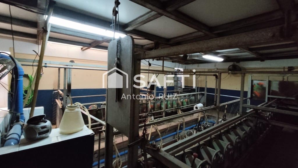 Terre non Aménagée à vendre à Ubeda - 285 000 € (Ref: 9595465)