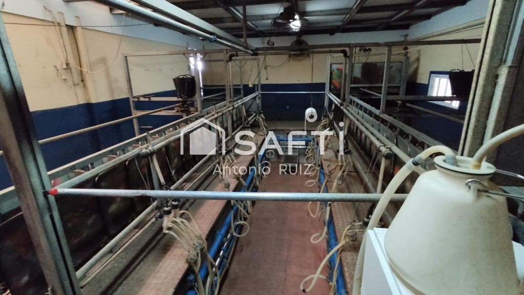 Terre non Aménagée à vendre à Ubeda - 285 000 € (Ref: 9595465)