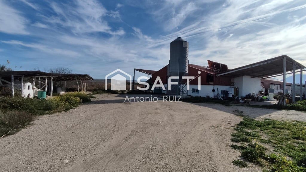 Terre non Aménagée à vendre à Ubeda - 285 000 € (Ref: 9595465)