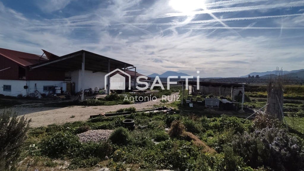 Terre non Aménagée à vendre à Ubeda - 285 000 € (Ref: 9595465)