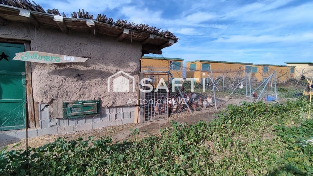 Terre non Aménagée à vendre à Ubeda - 285 000 € (Ref: 9595465)