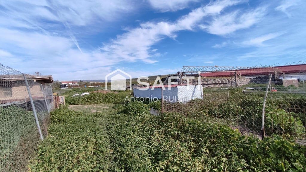 Terre non Aménagée à vendre à Ubeda - 285 000 € (Ref: 9595465)