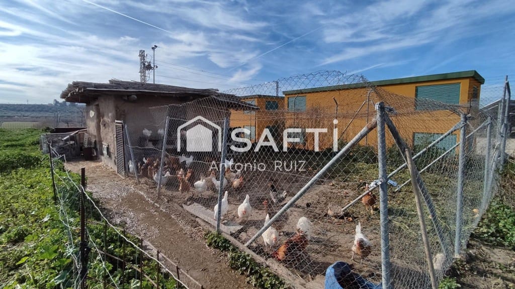 Terre non Aménagée à vendre à Ubeda - 285 000 € (Ref: 9595465)