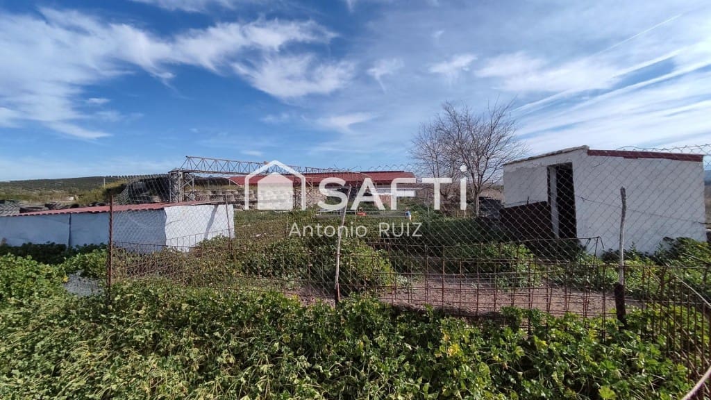 Terre non Aménagée à vendre à Ubeda - 285 000 € (Ref: 9595465)