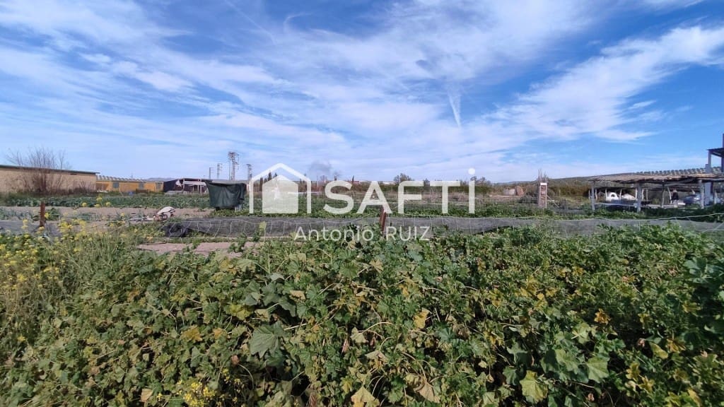 Terre non Aménagée à vendre à Ubeda - 285 000 € (Ref: 9595465)