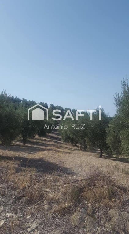Undeveloped Land for sale in Quesada - € 34,000 (Ref: 9595470)