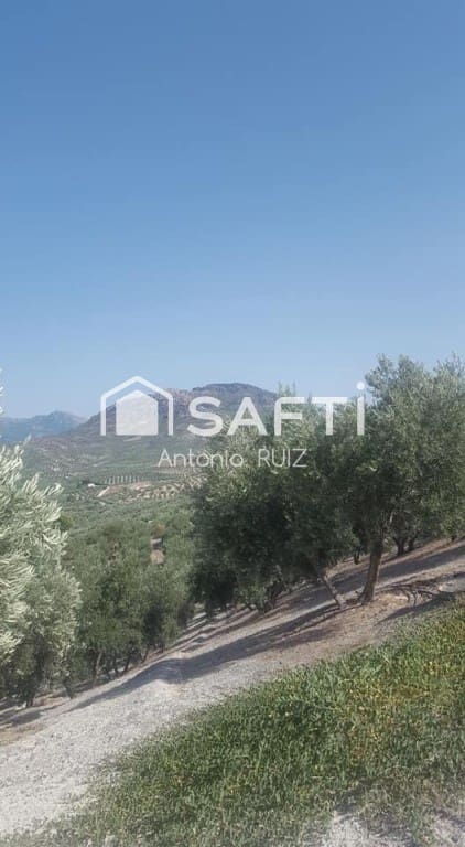 Undeveloped Land for sale in Quesada - € 34,000 (Ref: 9595470)