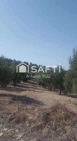Undeveloped Land for sale in Quesada - € 34,000 (Ref: 9595470)