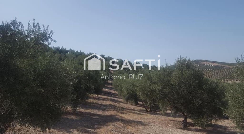 Undeveloped Land for sale in Quesada - € 34,000 (Ref: 9595470)