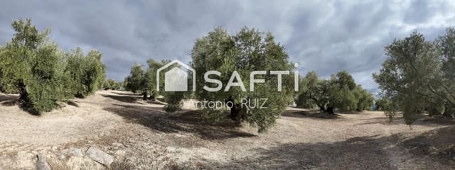 Undeveloped Land for sale in Ubeda - € 115,000 (Ref: 9595472)