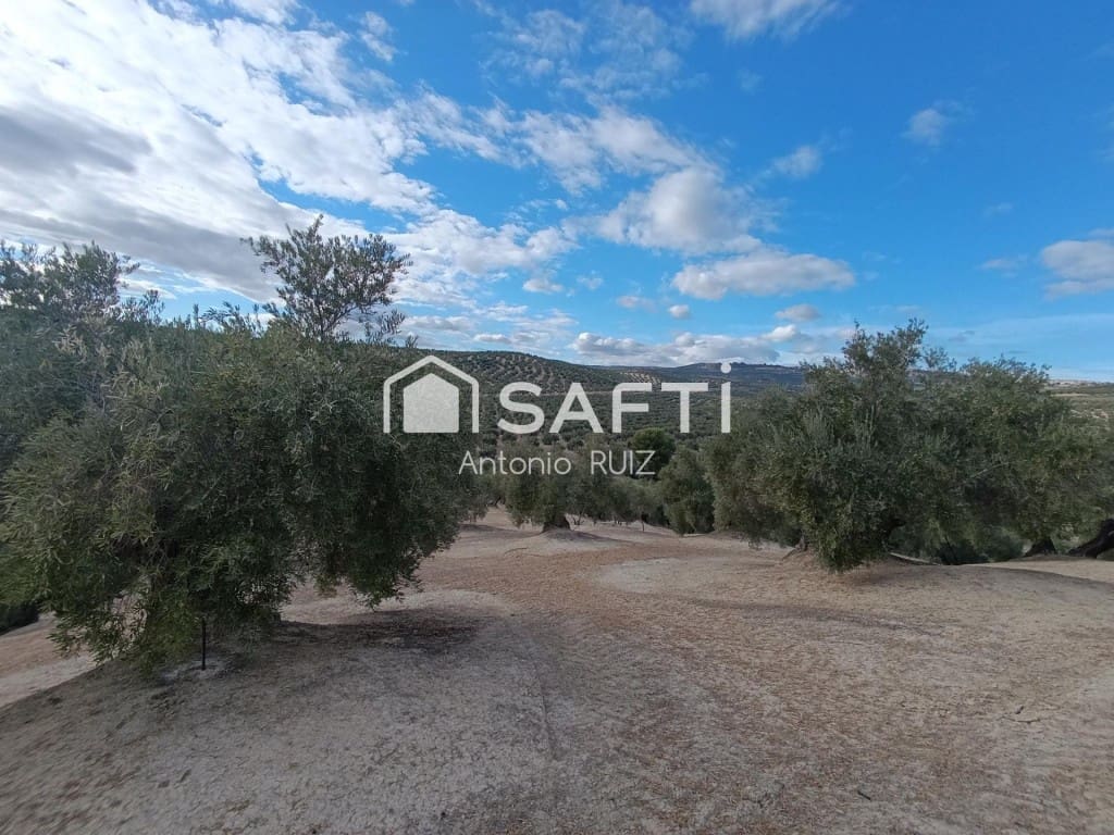 Undeveloped Land for sale in Ubeda - € 115,000 (Ref: 9595472)