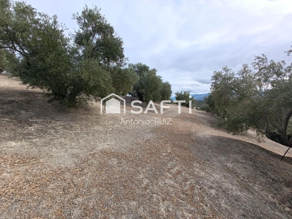 Undeveloped Land for sale in Ubeda - € 115,000 (Ref: 9595472)