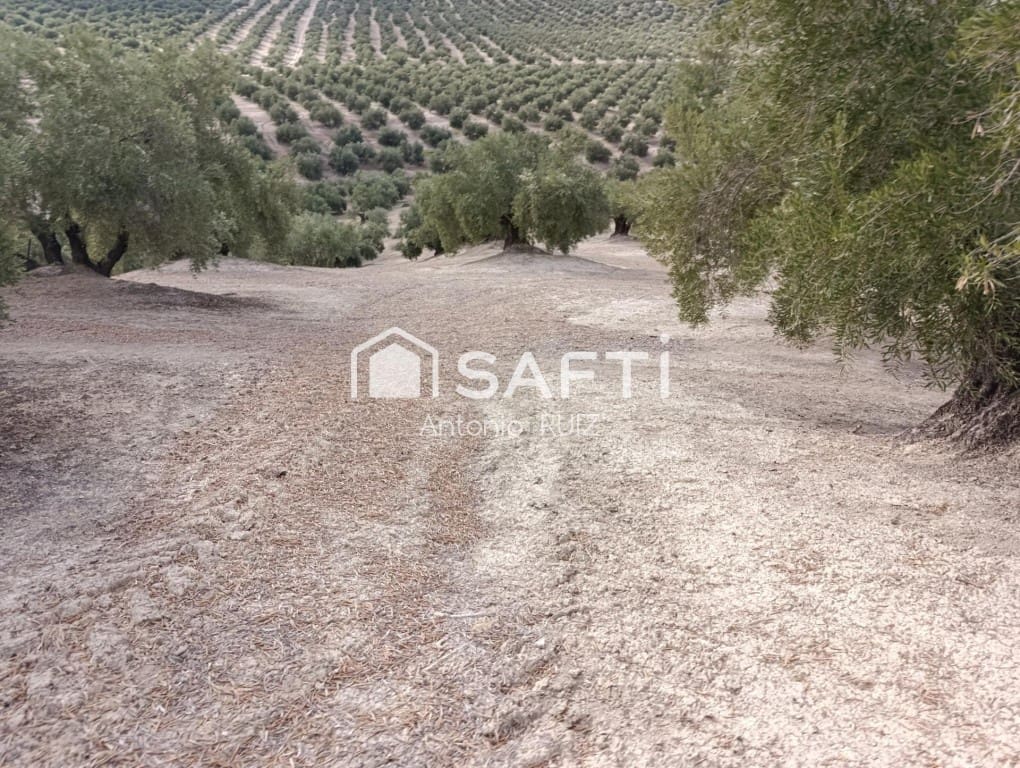 Undeveloped Land for sale in Ubeda - € 115,000 (Ref: 9595472)