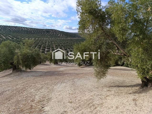 Undeveloped Land for sale in Ubeda - € 115,000 (Ref: 9595472)