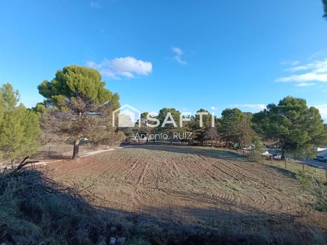 Terre non Aménagée à vendre à Ubeda - 950 000 € (Ref: 9595474)