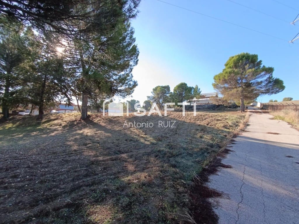 Terre non Aménagée à vendre à Ubeda - 950 000 € (Ref: 9595474)
