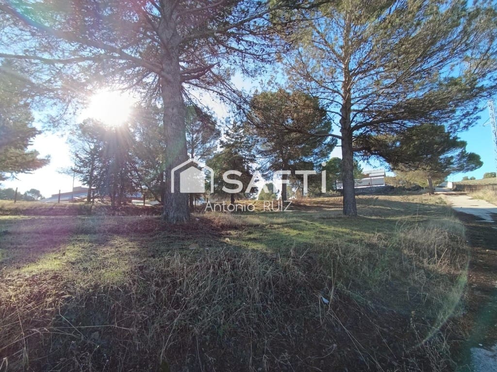 Terre non Aménagée à vendre à Ubeda - 950 000 € (Ref: 9595474)