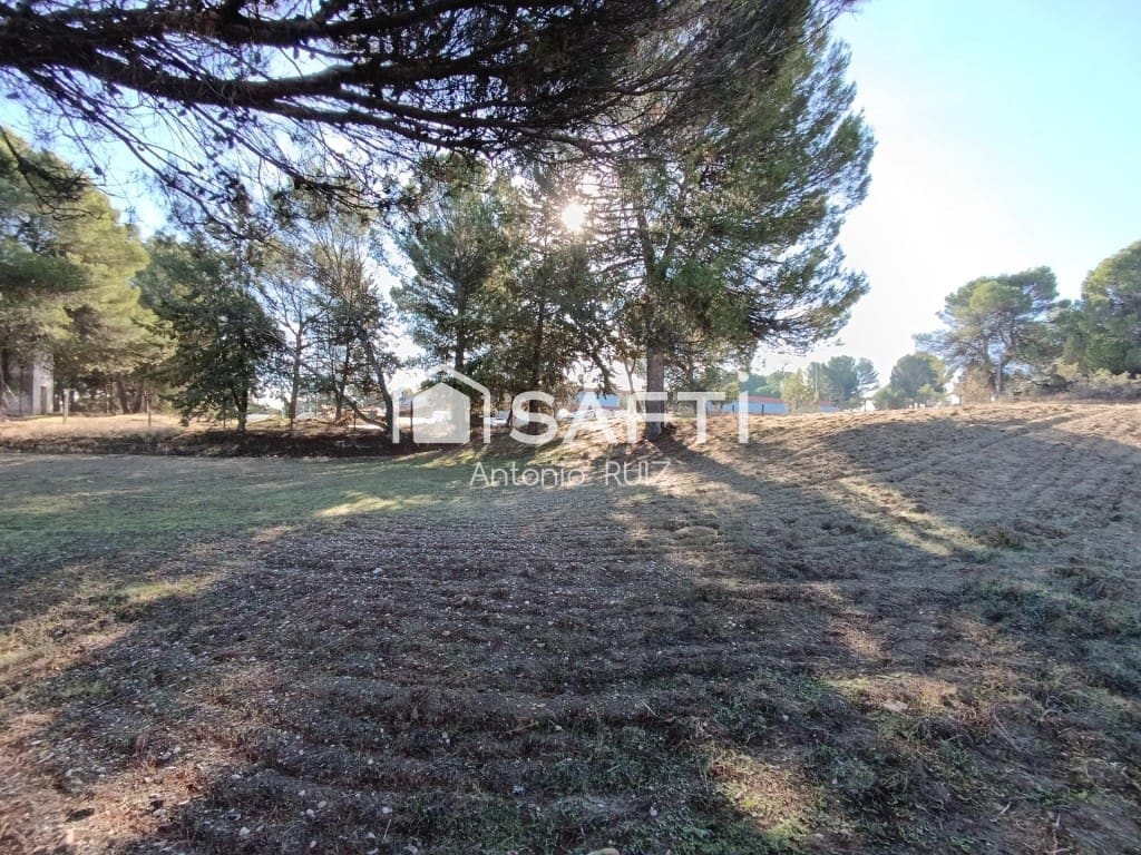 Terre non Aménagée à vendre à Ubeda - 950 000 € (Ref: 9595474)
