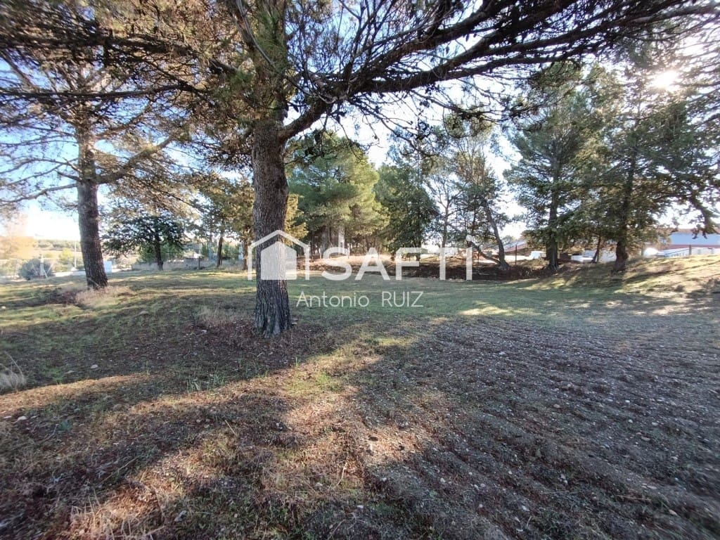 Terre non Aménagée à vendre à Ubeda - 950 000 € (Ref: 9595474)