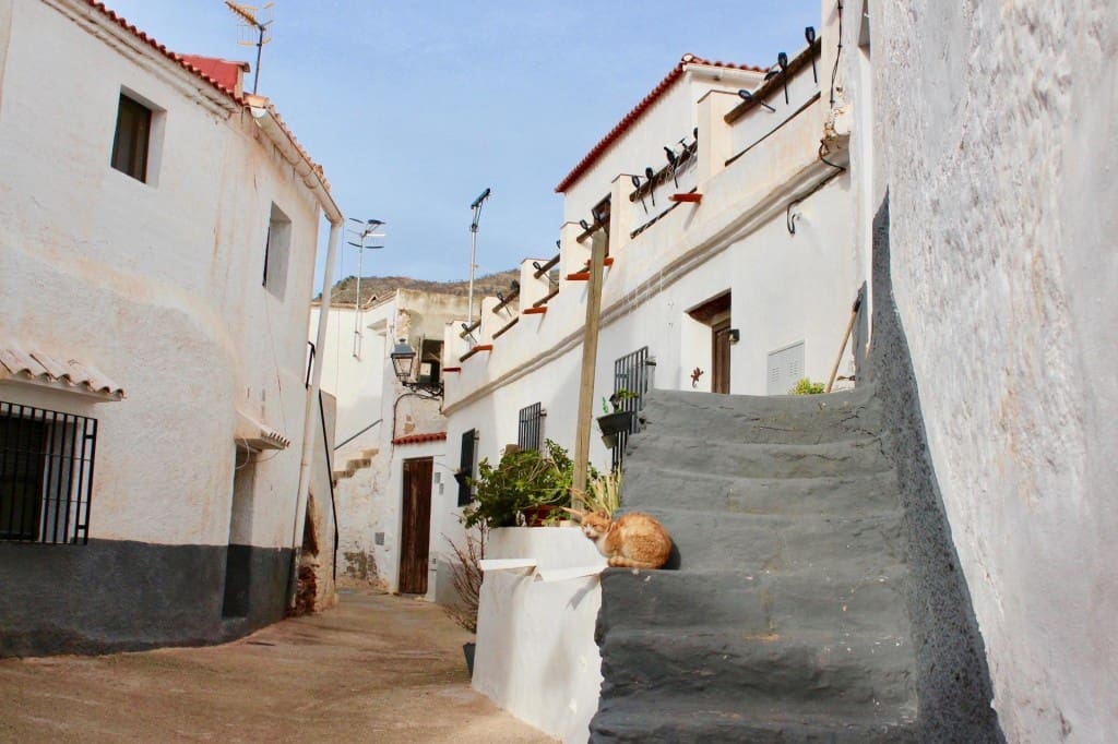 4 sovrum Lägenhet till salu i Polopos - 50 000 € (Ref: 9595476)