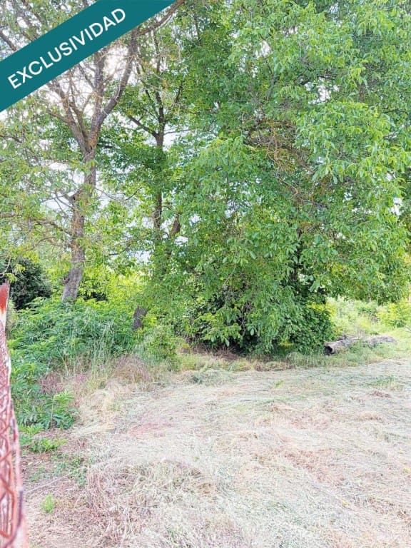 Bauplatz zu verkaufen in Sariegos - 174.000 € (Ref: 9595512)