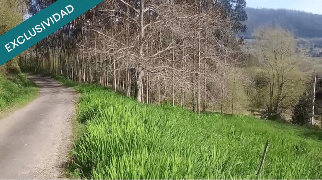 1 bedroom Finca/Country House for sale in Ortigueira - € 22,650 (Ref: 9595517)
