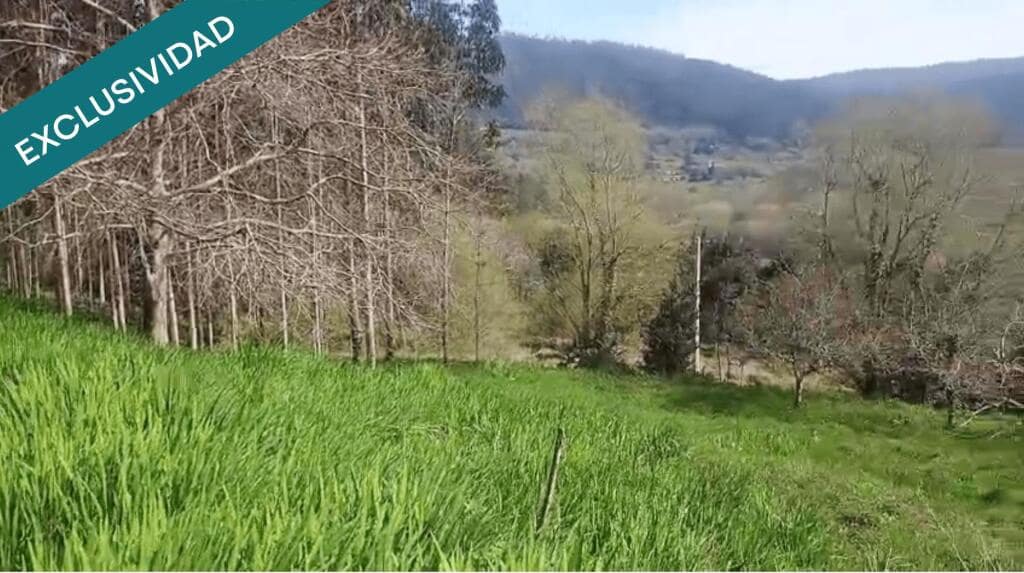 1 bedroom Finca/Country House for sale in Ortigueira - € 22,650 (Ref: 9595517)