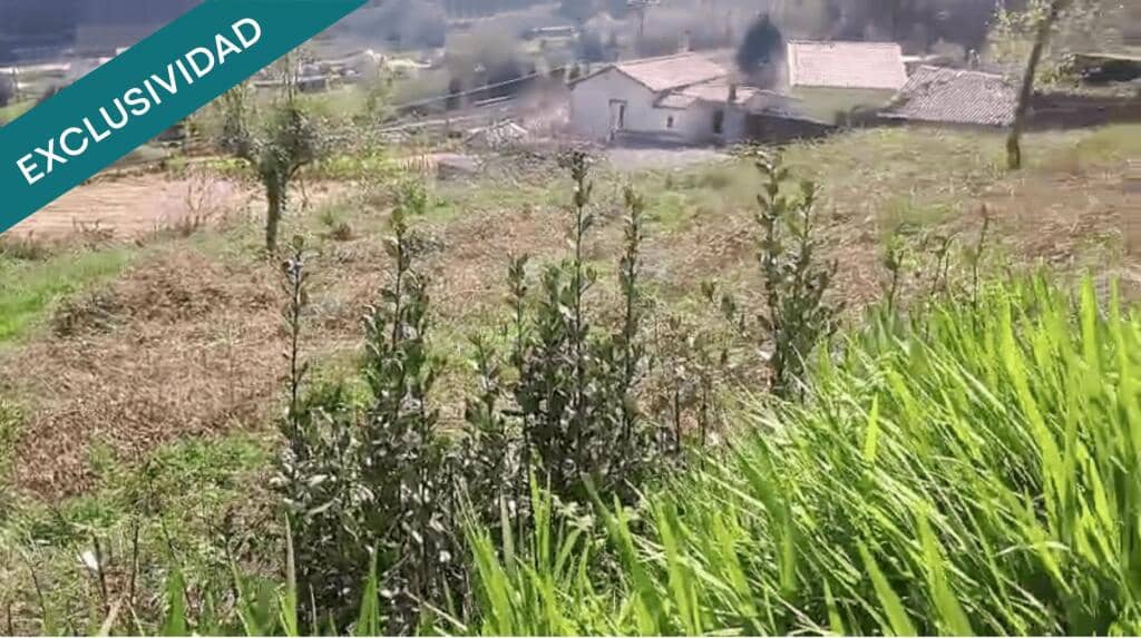 1 bedroom Finca/Country House for sale in Ortigueira - € 22,650 (Ref: 9595517)