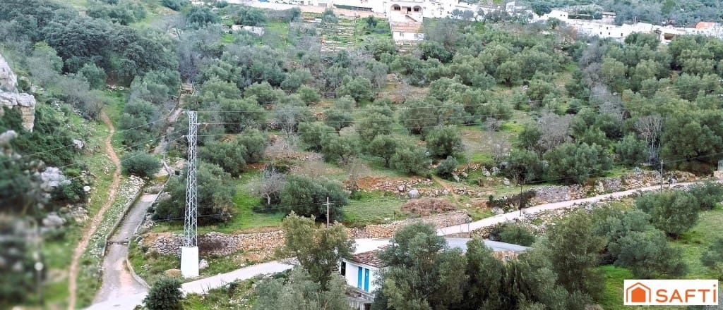 Ubebygd land til salgs i Benaojan - € 36 000 (Ref: 9595521)