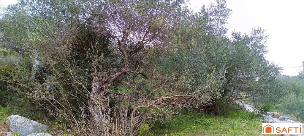 Ubebygd land til salgs i Benaojan - € 36 000 (Ref: 9595521)