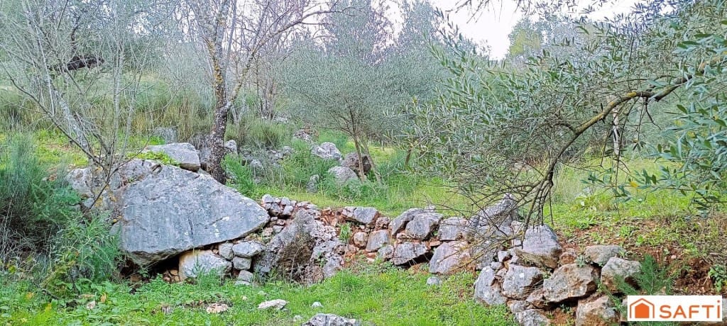 Ubebygd land til salgs i Benaojan - € 36 000 (Ref: 9595521)