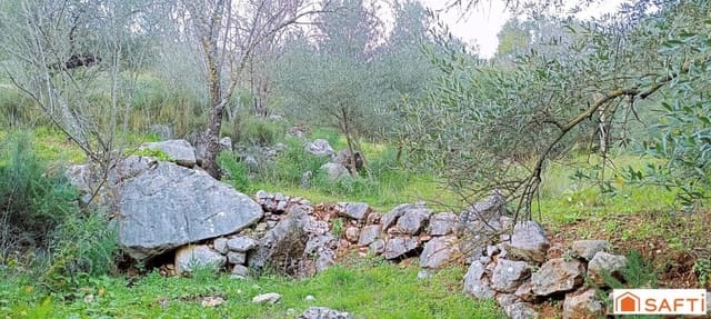 Ubebygd land til salgs i Benaoján - € 36 000 (Ref: 9595521)