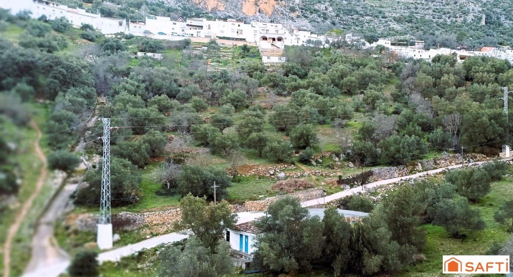 Ubebygd land til salgs i Benaojan - € 36 000 (Ref: 9595521)