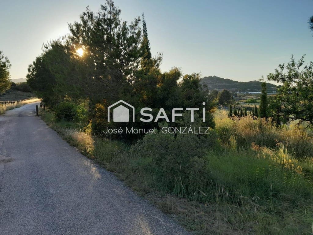 Ubebygd land til salgs i Cehegin - € 29 400 (Ref: 9595530)