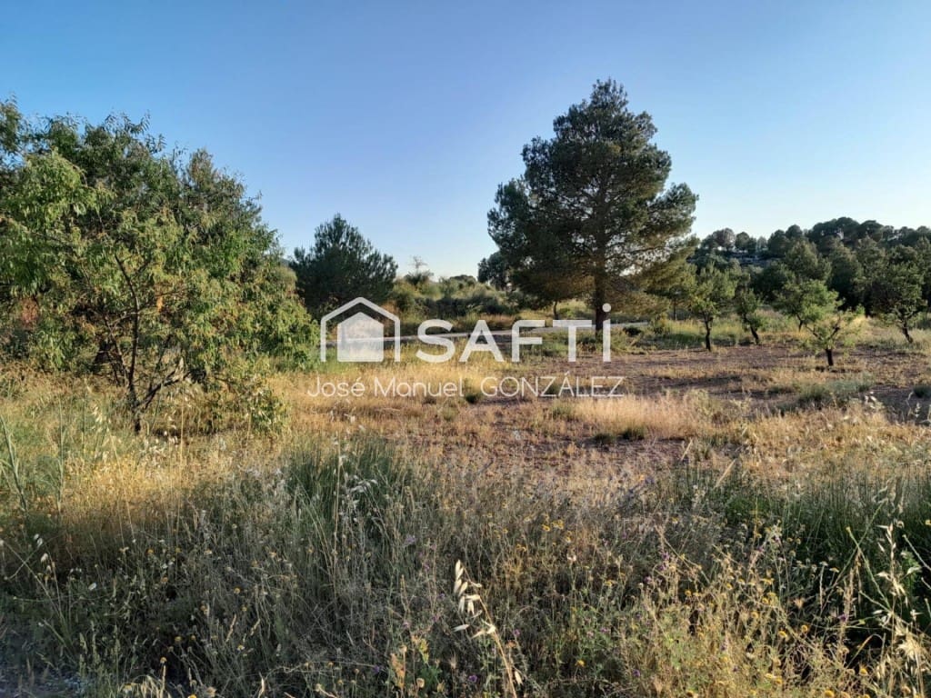 Ubebygd land til salgs i Cehegin - € 29 400 (Ref: 9595530)