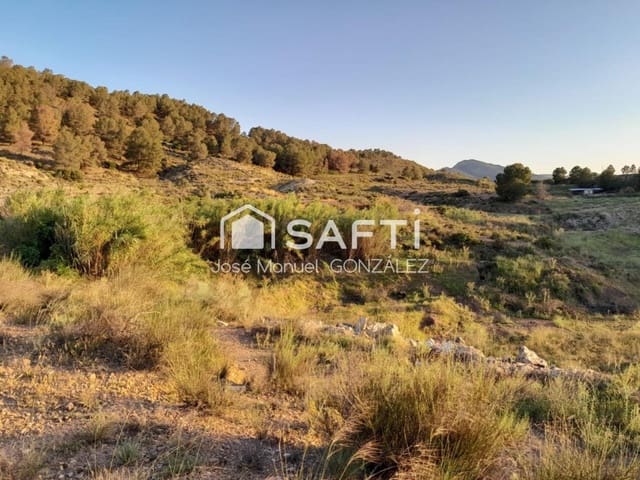 Ubebygd land til salgs i Cehegín - € 29 400 (Ref: 9595530)