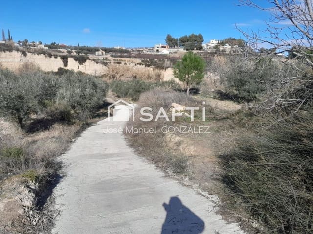 Terreno/Finca Rústica en Cehegín en venta - 12.500 € (Ref: 9595538)