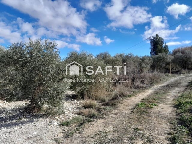 Terreno/Finca Rústica en Cehegín en venta - 12.500 € (Ref: 9595538)