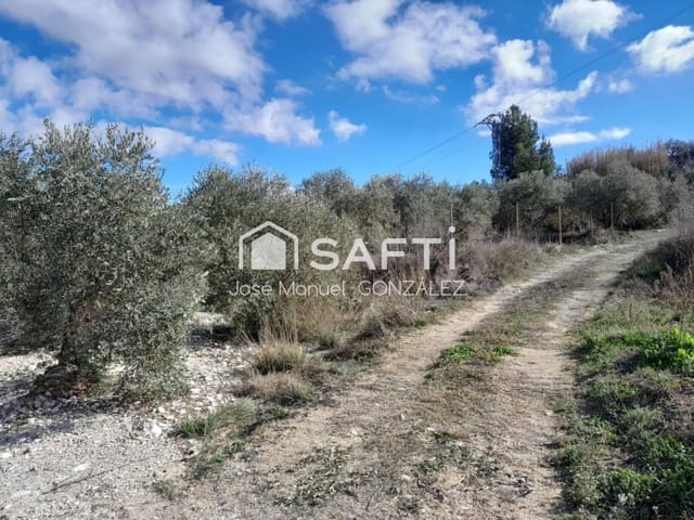 Terreno/Finca Rústica en Cehegín en venta - 12.500 € (Ref: 9595538)