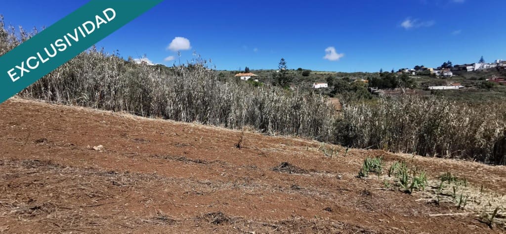 Terreno/Finca Rústica en Las Palmas de Gran Canaria en venta - 69.000 € (Ref: 9595550)